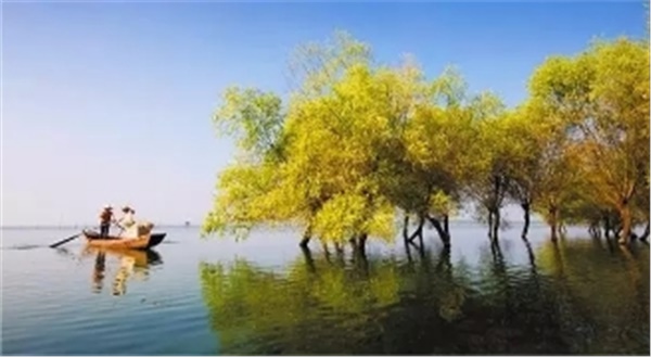春暖花開南洞庭踏青、云夢七色花洲一日游  