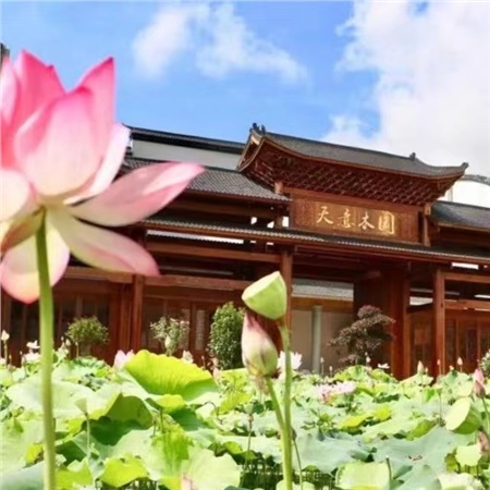 益陽天意木國木文化博物館、金家堤、一碑五館一日游