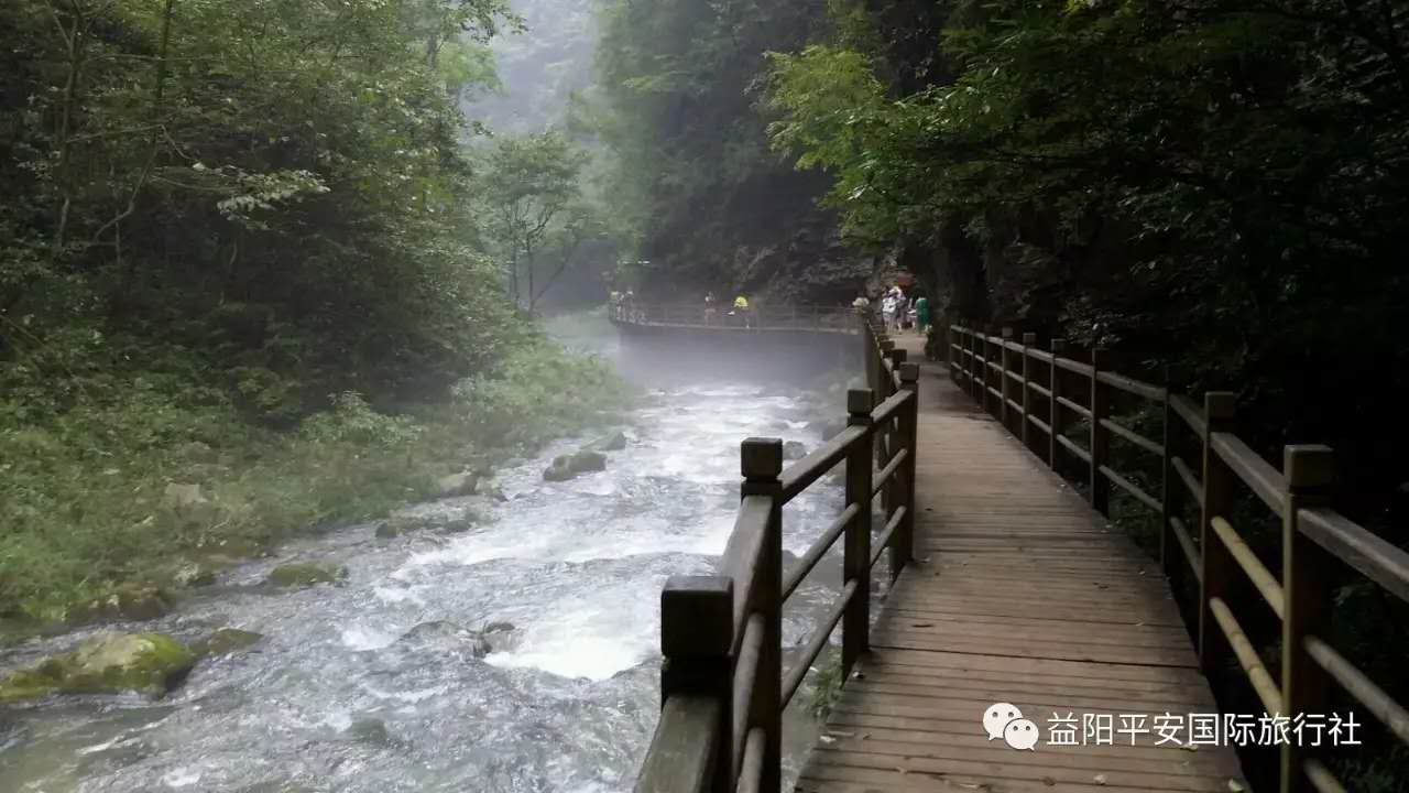 　張家界大峽谷、玻璃橋、黃龍洞品質(zhì)純玩兩日游c2