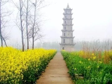 春暖花開南洞庭踏青、云夢七色花洲一日游  
