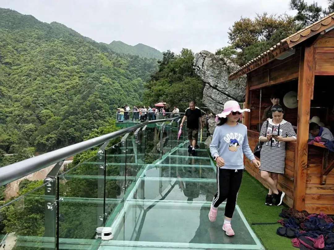 益陽安化?天下茶道、云臺山、茶香花海2日游