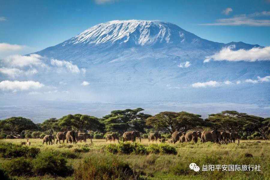 發現非洲體驗之旅肯尼亞10游