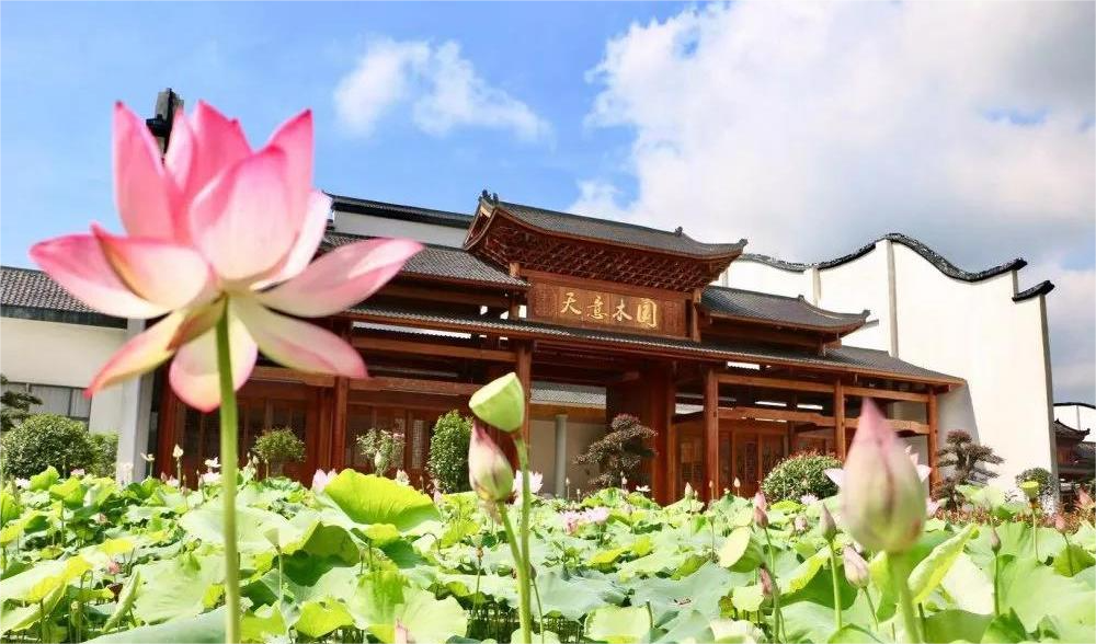清溪村、天意木國(guó)景區(qū)、明清古巷、市博物館、胡林翼故居二日游